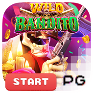 WILD BANDITO